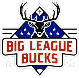 Big League Bucks
